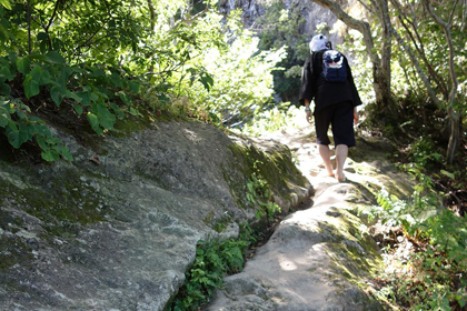 �Q�q���F�}�Ζʂ���炶�œo���Ă䂭�Q�q��